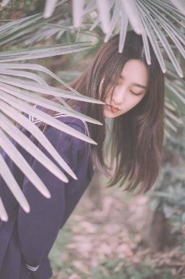 明星大侦探第四季